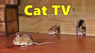 Cat TV  Mice in The Jerry Mouse Hole  8 HOURS  Videos for Cats
