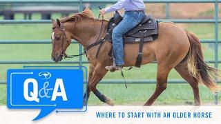 Advice for Starting Out With a New Horse - Q&A