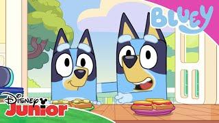  Bluey og mini-Bluey  Disney Junior Danmark