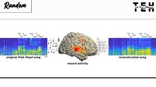 AI reconstructed pink floyd song from brain activity