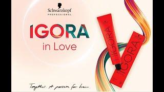 IGORA in Love Collection  SKP x Hairworld