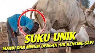 Suku Mundari Minum dan Mandi Dari Air Kencing Sapi