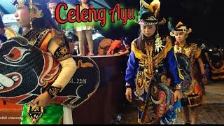 celeng celeng cantik Celeng Srenggi Turonggo Seto Batam