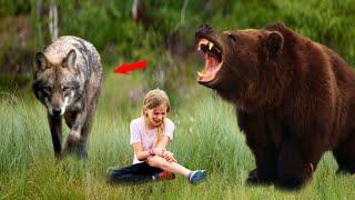 Wolf and Bear Surrounded the Girl She Thought It Was The End But Suddenly the Incredible Happened.