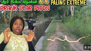 Prank Ular Piton Paling Extreme  DijaminBikin Ngakak 5 Funniest Snake Prank