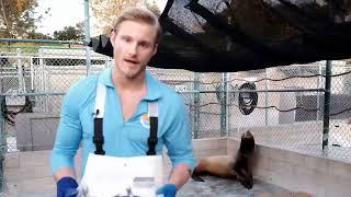 Alexander Ludwig Marine Mammal Care Center Celebrity Ambassador