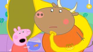 Goldie The Fishs Big Day Out   Peppa Pig Official Full Episodes