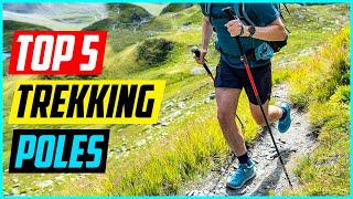 Top 5 Best Trekking Poles for 2024