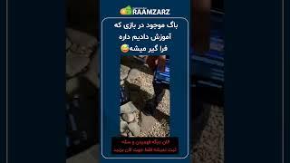 باگ همستر کامبت رو همه فهمیدن دیگه دارن میزنن