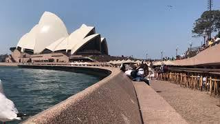 Chilling near Sydney Opera House