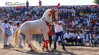घोड़ी डांस p4Indian Horse Dance  Chetak Festival Sarangkheda 2018