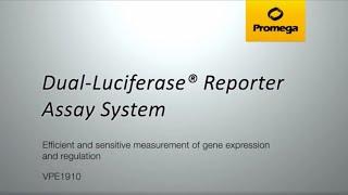 Dual-Luciferase® Reporter Assay System