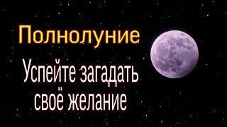 Полнолуние. Успейте загадать свое желание.  Тайна Жрицы 