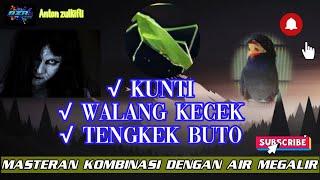 MASTERAN KUNTILANAK WALANG KECEK TENGKEK BUTO BUAT KICAU MANIA.......