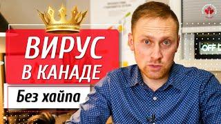  Вирус в Канаде  Коронавирус  COVID 19  Новости о вирусе 4 марта 2020