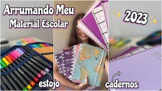 Meu Material Escolar de 2023 completo organizando os cadernos e estojo