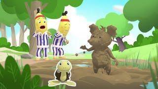 Rat Vs Tolstoy The Tortious  Bananas in Pyjamas Season 1  Full Episodes  Bananas In Pyjamas