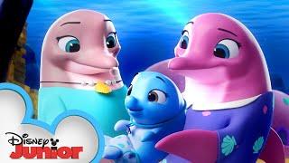 Pip and Freddys Ocean Adventure   T.O.T.S.  Disney Junior