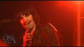 Foxy Shazam - WIRED Episode 32