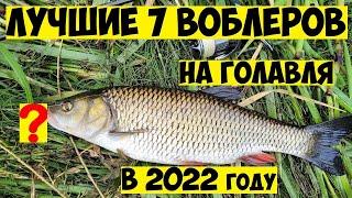 ТОП 7  Лучшие воблеры на ГОЛАВЛЯ в 2022 году Ловля Голавля на Спиннинг Рыбалка на голавля Голавль