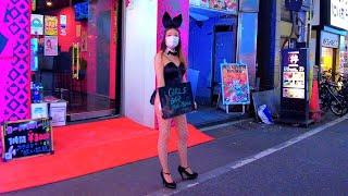 Japan Walk Kabukicho late at night Bunny red light district adult alley in Shinjuku Tokyo｜4K 歌舞伎町