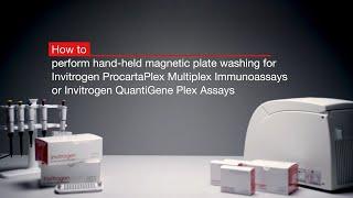 How to perform hand-held magnetic plate washing for Invitrogen™ Luminex® based multiplex assays