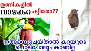 തുണികളിലെ വാഴകറ എത്ര പഴകിയാലും പാടുപോലും വരാതെ മാറ്റാംHow to remove banana stainStain removal tips