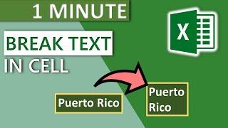 Excel Break Text in Cell Automatically 2020 - 1 MINUTE