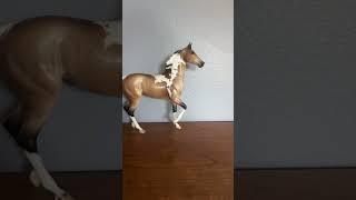 Breyer collector check Lonesome glory edition #horse #breyer #breyerhorse #collector