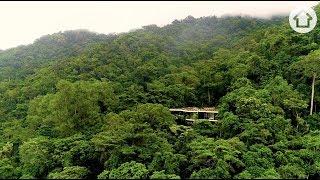 Planchonella House dikelilingi oleh hutan hujan Queensland  Hidup Di Tepi  realestate.com.au