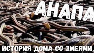 ВНИМАНИЕ #АНАПА ДОМ СО ЗМЕЯМИ - ИНТЕРВЬЮ С ХОЗЯЙКОЙ... КТО их ТАМ ВЫРАЩИВАЛ...