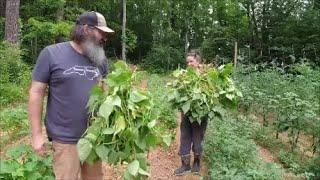 Worlds Fastest One Handed Garden Picking?