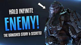 Halo Infinite - The Entire Story Of The Banished Backstory Explained