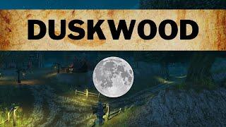 Duskwood - Music & Ambience 100% - First Person Tour - World of Warcraft