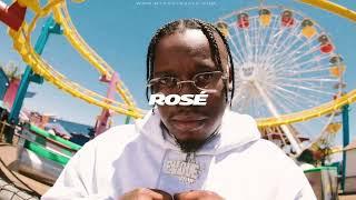 Free Blxst type Beat x Ty Dolla Sign type Beat  ROSE  RnB