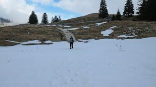 Alpenpanoramaweg Schwarzsee - Jaun Etappe 20