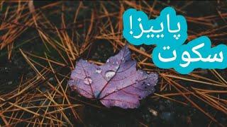 موسیقی بی کلام سکوت پاییز