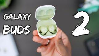 Samsung Galaxy Buds2 - Unboxing & Review