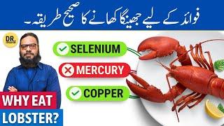 Jhinga Khane Ke FaydeNuqsan  Benefits & Drawbacks of Eating Lobster  Dr. Ibrahim