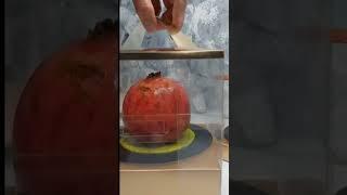 Hyperrealistic Pomegranate and Apple #hyperrealistic #hyperrialism