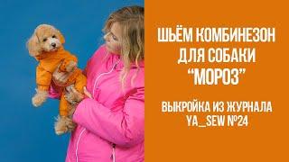 Комбинезон для собаки МОРОЗ. Видеоинструкция к журналу Ya_Sew №24