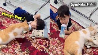 LUCU BANGET. Bocil Nangis Lapor Ke Emak Gara-gara Bantalnya Direbut Sama Si Oren  Kucing Lucu