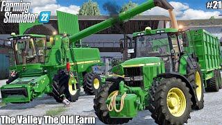 HARVESTING SOYBEAN FEEDING COWS and SELLING MILK│The Valley The Old Farm│FS 22│21