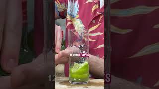 The BEST Tropical Mojito?  #cocktail