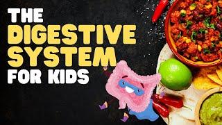 The Digestive System for Kids  A fun engaging overview of what happens when we eat