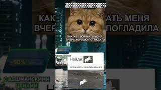 #мемы #приколы #шутки #коты #ржака #смех #рекомендации #meme #райангослинг