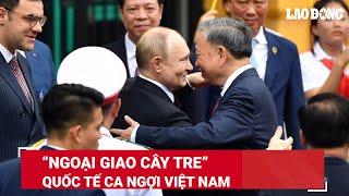 Việt Nam đón Tổng thống Putin đến thăm Truyền thông quốc tế hết lời ca ngợi ‘ngoại giao cây tre