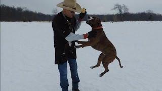 My Dog Gets Too Excited Playing Fetch - DOG INTERVENTION Dog Whispering BIG CHUCK MCBRIDE
