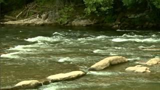 Western North Carolina Fly Fishing Trail