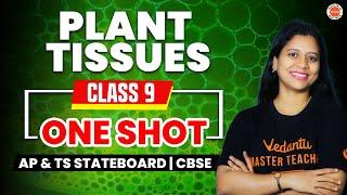 PLANT TISSUES  ONE SHOT  Class 9  TS & AP StateboardCBSE  SSC Biology 2025 Sunaina Maam